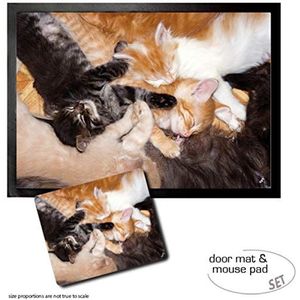 1art1 Katten, Big Cuddle Party Deurmat (70x50 cm) + Muismat (23x19 cm) Cadeauset