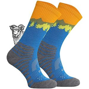 TODO BP Merino Wandelsokken voor heren, dames en kinderen, trekkingsokken van merinowol, ademend, anti-blaren, geproduceerd in de EU, 35-38 EU