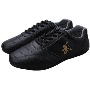 ForceRoute Taekwondo Tai Chi schoenen, Kung Fu schoenen, vechtkunstschoenen, karate-schoenen, ademend, licht, voor heren en dames, kinderen en volwassenen, voor wing chun, Qigong, voor