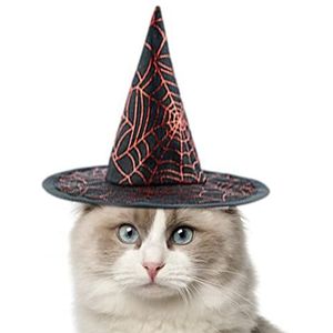 Kat Halloween Heksenhoed | Halloween kostuum voor huisdier - Grappige Caps Halloween Party Cosplay Decoraties Voor Kat Hond Puppy Halloween Kostuums Xiebro