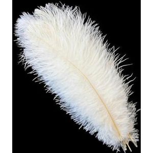 ORGEFY 10 stuks 15-60 cm witte struisvogelveren, feesttafeldecoratie, accessoires, struisvogelveren, knutselen, wit, 15 - 20 cm