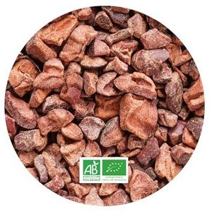 Biologische Criollo Raw Cacaobonen (250 g), 100% natuurlijk, veganistisch (hele CACAO, niet getemperd) – rijk aan antioxidanten
