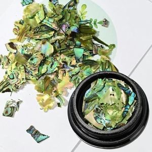 1 pot Nail Holografische Abalone Schelp Plakjes 3D Glitter Ultradunne Pailletten Vlokken Manicure Paillette Schelp Vlokken-2