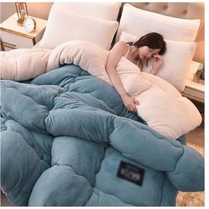 SayfuR Super zacht pluizig dekbed, dik winterdekbed dubbelzijdige fluwelen dekbed/deken, warme dekbedovertrek voor de winter, verdikt warm pluche dekbed effen kleur donsdeken, E, 150 x 200 cm/2,5 kg