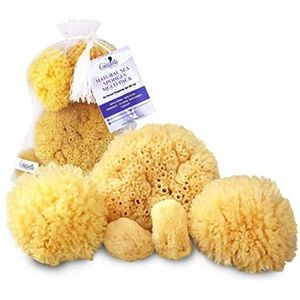 Natuurlijke zeesponzen om in te baden: 5 stuks cadeau in premium tas, hypoallergeen bad, douche, gezichtsreiniging, verwennerij, moeders, bruiden, vriendinnen