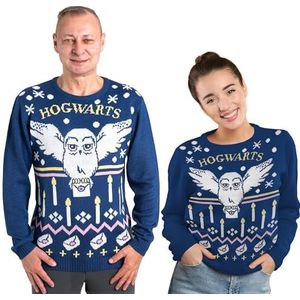 United Labels - Harry Potter Hedwig - Wintertrui - Blauw - Sweatshirt