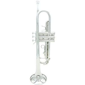 Trompetten trompet Bb B plat verzilverd messing prachtig met mondstuk reinigingsborstel doek handschoenen riem trompet instrument (kleur: zilver)