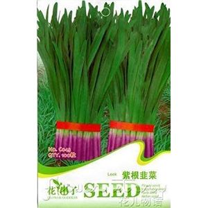 Vista Spedizione gratuita 3 confezioni 300 di semi di Porro Purple OrganicVegetable C043