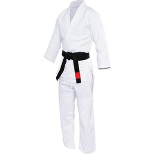 Taekwondo krijger kostuum Judo Gi Uniform Wit & Blauw Meerdere Maten(White,XS-130CM)