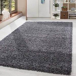 Tapijt Lange stapel ruig Gewoon ontwerp Woonkamer 30 mm poolhoogte Pluizig Zacht Rechthoekig Rond Lopers, kleur:Grijs, Groote:300x400 cm