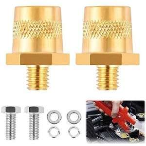 Messing - Accupoladapter - M8 - Accuklemmen - Paar - Roestvrijstalen Schroeven en Sluitringen