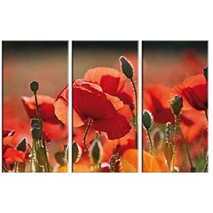 1art1 Grote Klaproos Poster Kunstdruk Op Canvas Red Poppies, Flowers And Buds, 3 Parts Muurschildering Print XXL Op Brancard | Afbeelding Affiche 120x80 cm