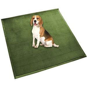 Hondenbed matras extra groot hondenkussen, zachte fleece comfortabele huisdiermat, kalmerende hondenkat slaapmat, antislip wasbaar hondenkussen (120 x 120 cm, groenB)