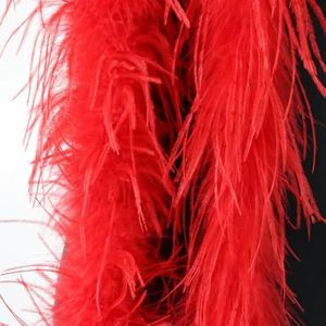 2 Meter Kleurrijke Struisvogelveren Boa Witte Veren Sjaal Sjaal Voor Kleding Jurk Decoratieve Accessoires Bruiloft Naaien Trim-Rood-2 Meter