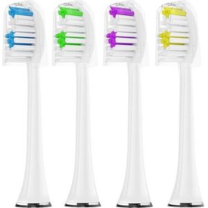 Acteh Tandenborstelkoppen, Acteh Heads (Wit)