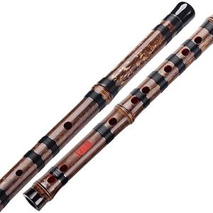 RAN Chinese Dizi Bamboe Fluit - Nationaal muziekinstrument Professioneel Speel Vijf, een sectie van paarse bamboefluit met anti-krakende Ziplock Bag dwarsfluiten (Kleur: G)