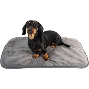 MyBestBuddy Hondenmat, grijs, Basic, 60 x 40 cm, S, met zachte stof extra voor huisdieren, wasbaar op 40 °C, hypoallergeen (100% polyester), hondenkussen of hondenbed voor kleine honden, 60 x 40 cm