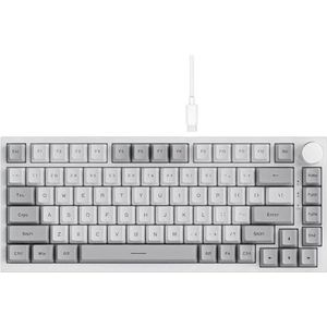 QPSJXN Mechanisch gamingtoetsenbord met Bluetooth 5.1 draadloze opties en C-bekabeld, personaliseerbaar met een hot-swap-afdichting met AK820 en AK820 Pro (AK820 grijs wit)