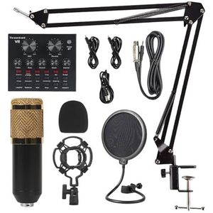 V8 Voice Conversion Geluidskaart voor Karaoke Living Broadcast Chat op Type B