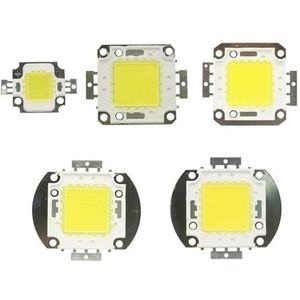 LED Driver 10W 20W 30W 50W 100W Wit/Warm Wit/RGB Chip Voeding Projector Kralen Verlichting Adapter Waterdicht (Kleur: Alleen Witte Chip, Maat: 30W)