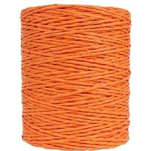 460G Raffia Stro Garen Haakgaren for DIY Breien Zomer Stro Hoed Handtassen Kussens Manden Materiaal Handbreigaren(Oranje)