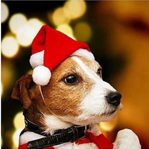 1 st Feestelijke Huisdier Kat/hond Kerst Kerstman Hoed Kostuum Kerst Huisdier Accessoire