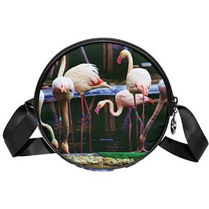 Ronde Crossbody Tas Flamingo Patroon Messenger Bag Purse voor Vrouwen, Meerkleurig, 6.7x6.7x2.3 in, Sling Rugzakken