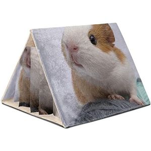 Hamsterkooi,Tent en Bed voor huisdieren,Habitat voor Hamster Huis,Speelgoed voor Kleine Dieren,Leuke muis en hamster Afdrukken