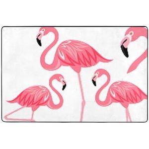 YJxoZH Vier Flamingo's Print Home Decor Tapijten, Voor Woonkamer Keuken Antislip Vloer Tapijt Ultra Zachte Slaapkamer Tapijten