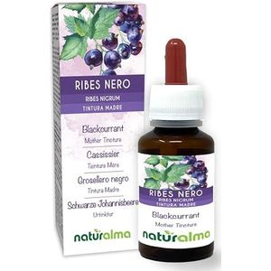 Zwarte bes (Ribes nigrum) bladeren en vruchten Alcoholvrije moedertinctuur Naturalma - Vloeibaar extract druppels 60 ml - Voedingssupplement - Veganistisch