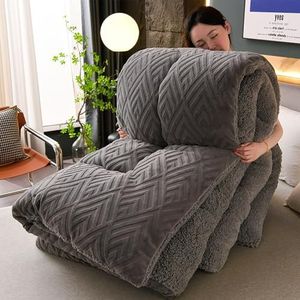 HHDOMLTH Lamswol warm dekbed, verdikt katoenen dekbed superzachte deken dubbele kasjmier, ademende kasjmiervezel gevulde kern dubbelzijdige dekbed voor koud weer (grijs, 200 x 230 cm (5 kg))
