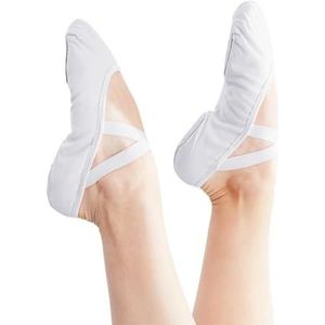 LSYHHXC Dansschoenen balletschoenen dansschoenen balletschoenen praktijk balletschoenen canvas voor dames zachte balletschoenen 337 (kleur: wit, maat: 41 (24 cm))