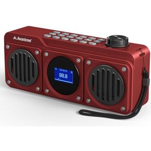 Avantree Boombyte - Draagbare FM-radio met Bluetooth-luidspreker, fantastisch geluid, metalen afwerking, MP3-speler, ondersteuning voor micro SD-kaart en USB-audio-ingang, lange speeltijd, oplaadbaar