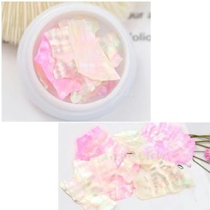 1 Jar Mix 2 Kleurrijke Onregelmatige Natuurlijke Zeeschelp Dunne Abalone Slice Pallitte Nail Art Pailletten Decals Manicure Accessoires Tip-2SBKP05