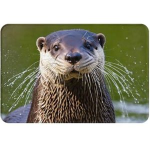 FRESQA Dierlijke schattige bruine otters print essentiële buiteningang deurmat, gemakkelijk schoon te maken, ontworpen, voor huisdecoratie