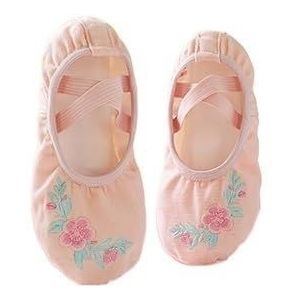 Balletschoenen Meisjes Ballet Schoenen Borduurwerk Kinderen Dans Slippers Gedeelde Zool Gymnastiek Dansschoenen Roze Klassieke Dansschoenen Ballet Schoenen Dames (Kleur: Flesh-2, Maat: 36)