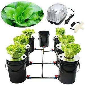 Deep Water Culture Bubbler Hydrocultuur Systeem Kit Compleet systeem Vloerloos DHL Indoor Tuinieren Hydrocultuur Teelt DWC Indoor Kweeksysteem Grondloos 20L Hydrocultuur Grow Kweeksysteem Thuis Nieuw