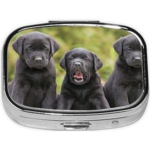 Mini vierkante pillendoos, medicijnorganizer, labrador retriever draagbare EHBO-doos, reispillendoos met 2 vakken, kleine pillendoos voor zak of portemonnee