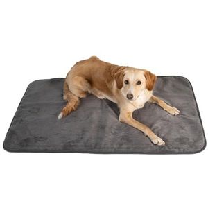 MyBestBuddy Hondenmat, grijs, Basic, 120 x 70 cm, XL, met zachte stof, extra voor huisdieren, wasbaar op 40 °C, hypoallergeen, hondenkussen of hondenbed voor zeer grote honden, 120 x 70 cm