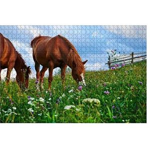 1000 Stuk Legpuzzel Paarden Grazen In Een Weide In Bergen Zonsondergang In Karpaten Hersenen Uitdaging Puzzel Thuis Muur Decor Puzzels Voor Volwassenen Familie Games Intellectuele Schilderijen Puzzel
