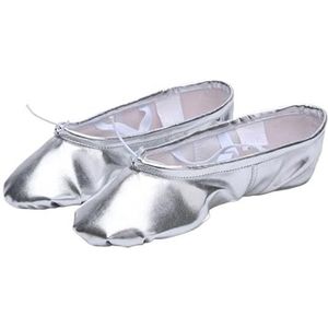 Balletschoenen, Platte canvas balletschoenen, Balletoefeningschoenen met zachte zool, Gymnastiekschoenen for dames, Balletoefening (Color : Silver, Size : 29)