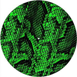 Slipmats Slipmat vilt voor elke 12"" LP DJ vinyl draaitafel platenspeler aangepaste afbeelding - Snake Skin GR