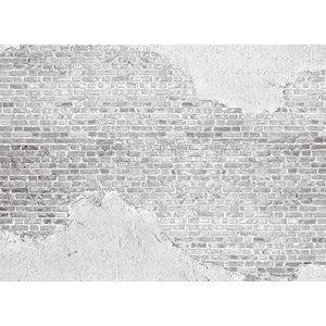 Livingwalls fotobehang designwalls vliesbehang Old Brick Wall behang in beton look in grijs, wit 350 x 255 cm XXL wandbehang wandschilderij 118770