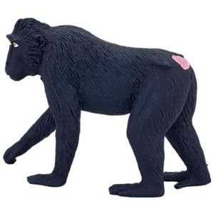 MOJO Zwarte Crested Macaque Realistische Internationale Wildlife Hand Geschilderd Speelgoed Beeldje