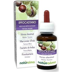 Witte paardenkastanje (Aesculus hippocastanum) schors en zaden Alcoholvrije moedertinctuur Naturalma - Vloeibaar extract druppels 60 ml - Voedingssupplement - Veganistisch