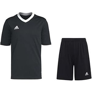 adidas Kindertricot set Entrada 22, team koningsblauw, 176
