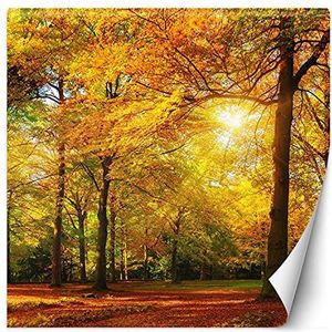 Feeby Vliesbehang Bomen Zonnestralen 200x200 cm Oranje Muurschildering 3D Muur Behang Wallpaper Moderne Wanddecoratie Wandschilderijen XXL Woonkamer Slaapkamer Loft Spa Hotel Bos Herfst Planten