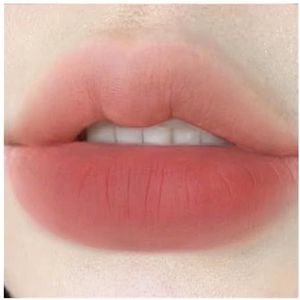 Velvet Mist Water Mist Lip Mud Zacht Zijdeachtig Mat Mat Veganistisch Wit Non-stick Lipgloss Lip Glaze Lipstick(1 Tao Ni likes)