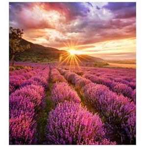 Samsung IF015H-E - IFH Series LED display unit - Digitaal signaal - 320 x 360 SMD - HDR