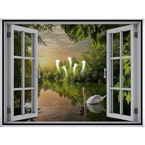 Screen Window Black Large Screen Anti Mosquito Bug Window Without Drilling, 70x165cm